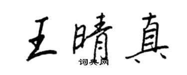 王正良王晴真行书个性签名怎么写
