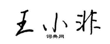 王正良王小非行书个性签名怎么写