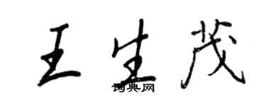 王正良王生茂行书个性签名怎么写
