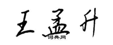 王正良王孟升行书个性签名怎么写