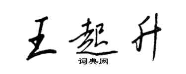王正良王起升行书个性签名怎么写