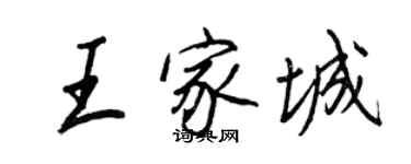 王正良王家城行书个性签名怎么写