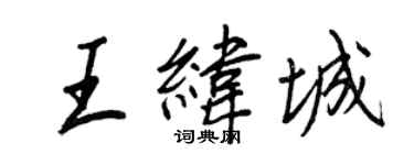 王正良王纬城行书个性签名怎么写