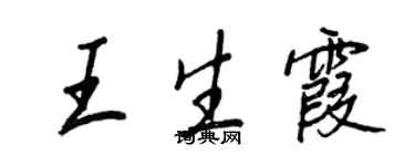 王正良王生霞行书个性签名怎么写
