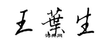 王正良王叶生行书个性签名怎么写