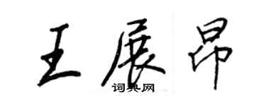 王正良王展昂行书个性签名怎么写