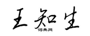 王正良王知生行书个性签名怎么写
