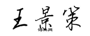 王正良王景策行书个性签名怎么写