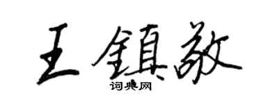 王正良王镇敬行书个性签名怎么写