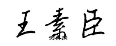 王正良王素臣行书个性签名怎么写