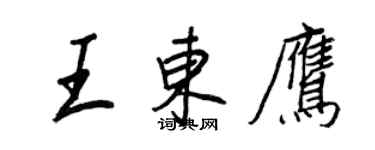 王正良王东鹰行书个性签名怎么写