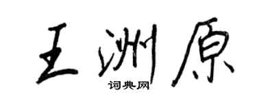 王正良王洲原行书个性签名怎么写
