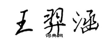 王正良王羿涵行书个性签名怎么写
