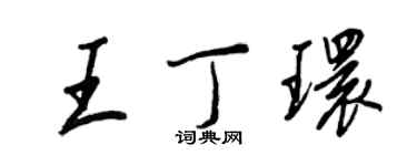 王正良王丁环行书个性签名怎么写