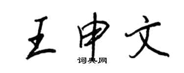 王正良王申文行书个性签名怎么写