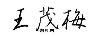 王正良王茂梅行书个性签名怎么写