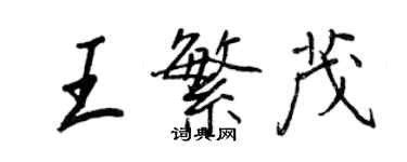 王正良王繁茂行书个性签名怎么写