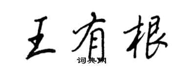 王正良王有根行书个性签名怎么写