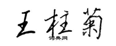 王正良王柱菊行书个性签名怎么写