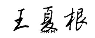 王正良王夏根行书个性签名怎么写