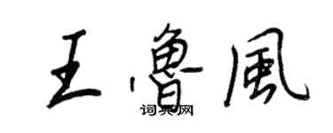 王正良王鲁风行书个性签名怎么写