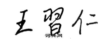 王正良王习仁行书个性签名怎么写