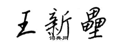 王正良王新垒行书个性签名怎么写