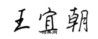 王正良王宜朝行书个性签名怎么写