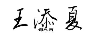 王正良王添夏行书个性签名怎么写