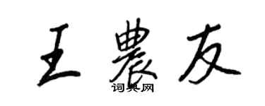 王正良王农友行书个性签名怎么写
