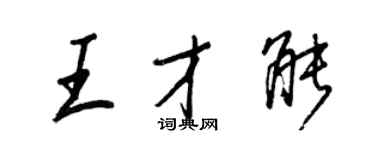 王正良王才能行书个性签名怎么写