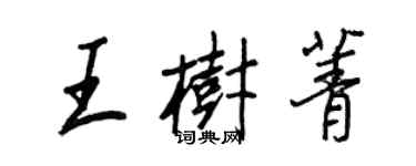王正良王树菁行书个性签名怎么写