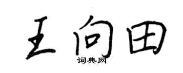 王正良王向田行书个性签名怎么写