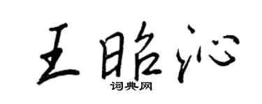 王正良王昭沁行书个性签名怎么写