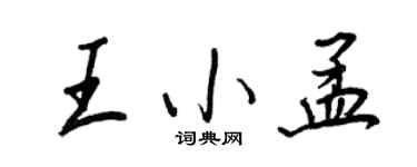 王正良王小孟行书个性签名怎么写