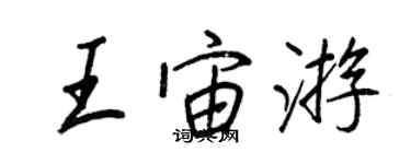 王正良王宙游行书个性签名怎么写