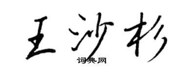 王正良王沙杉行书个性签名怎么写