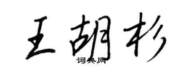 王正良王胡杉行书个性签名怎么写