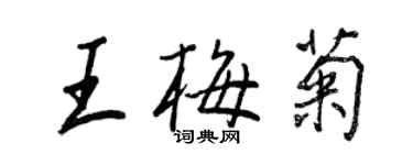 王正良王梅菊行书个性签名怎么写