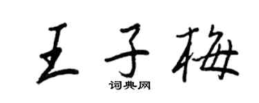 王正良王子梅行书个性签名怎么写