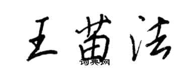 王正良王苗法行书个性签名怎么写