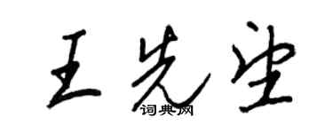 王正良王先望行书个性签名怎么写