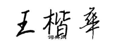 王正良王楷华行书个性签名怎么写
