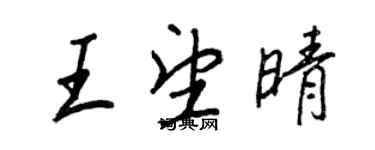 王正良王望晴行书个性签名怎么写