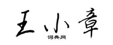 王正良王小章行书个性签名怎么写
