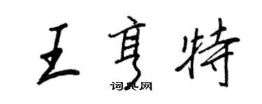 王正良王亨特行书个性签名怎么写