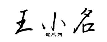 王正良王小名行书个性签名怎么写