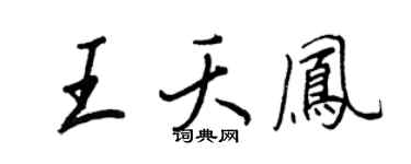 王正良王夭凤行书个性签名怎么写