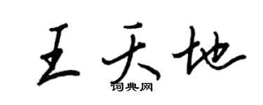 王正良王夭地行书个性签名怎么写