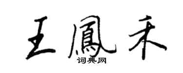 王正良王凤禾行书个性签名怎么写